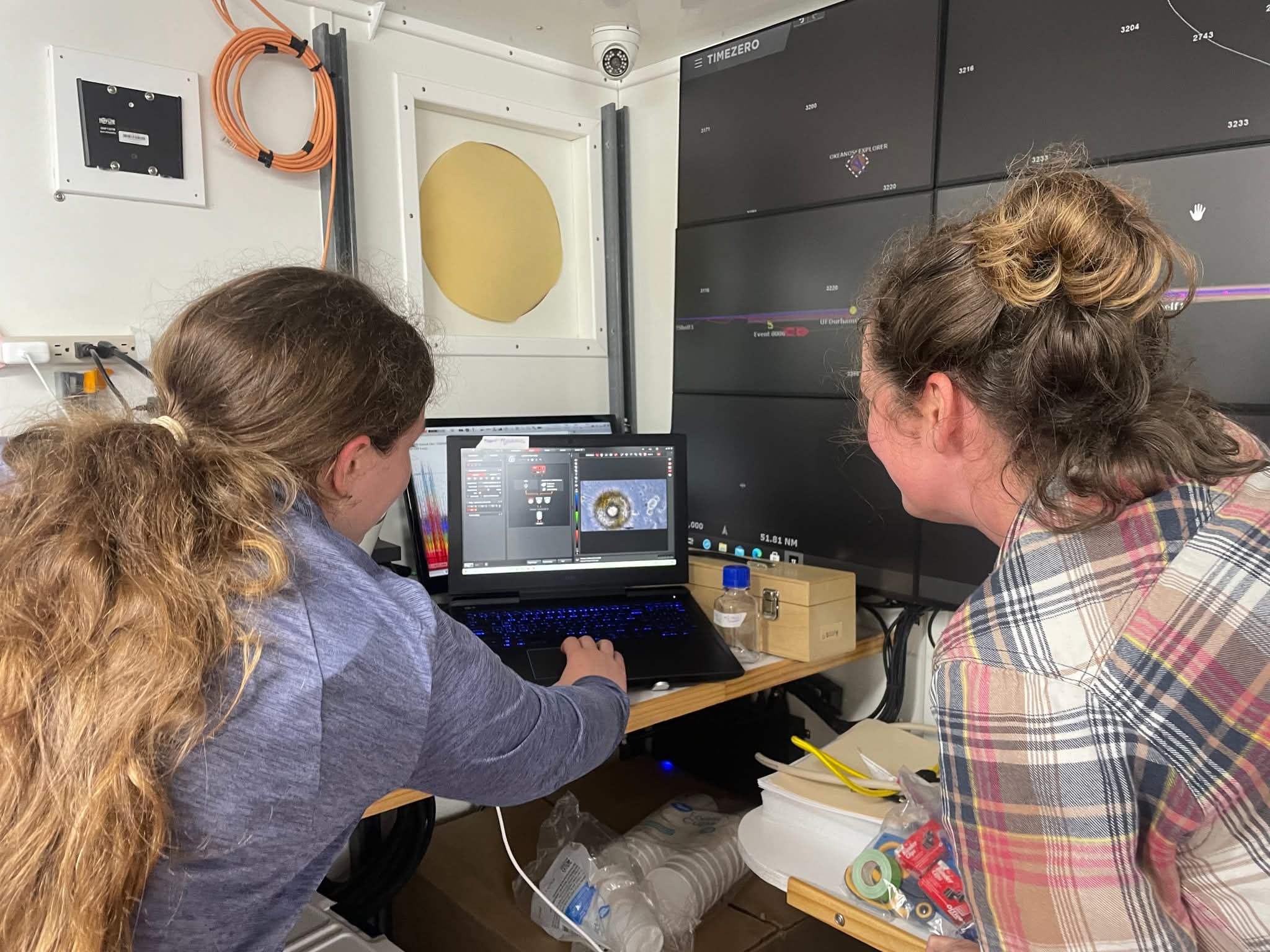 Peggie Rimmer About Me – rMicrobe Website